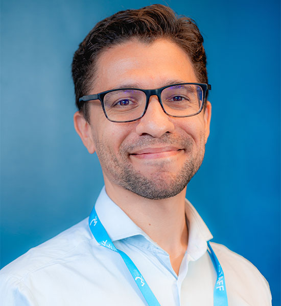David Ellul - Principal